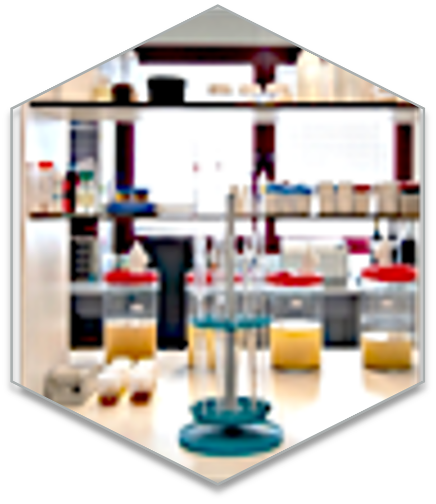 About Us Alea Evolution Wine And Food Consultancy about-us-alea-evolution-wine-and-food-consultancy