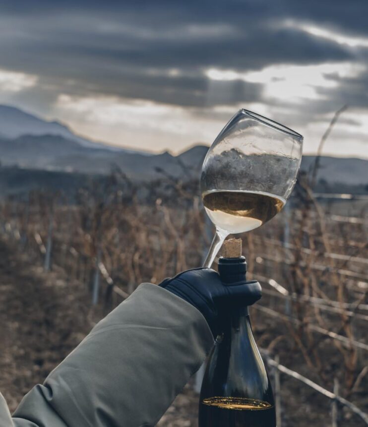 Aromi varietali del vino: conservazione e valorizzazione attraverso la tecnologia enologica