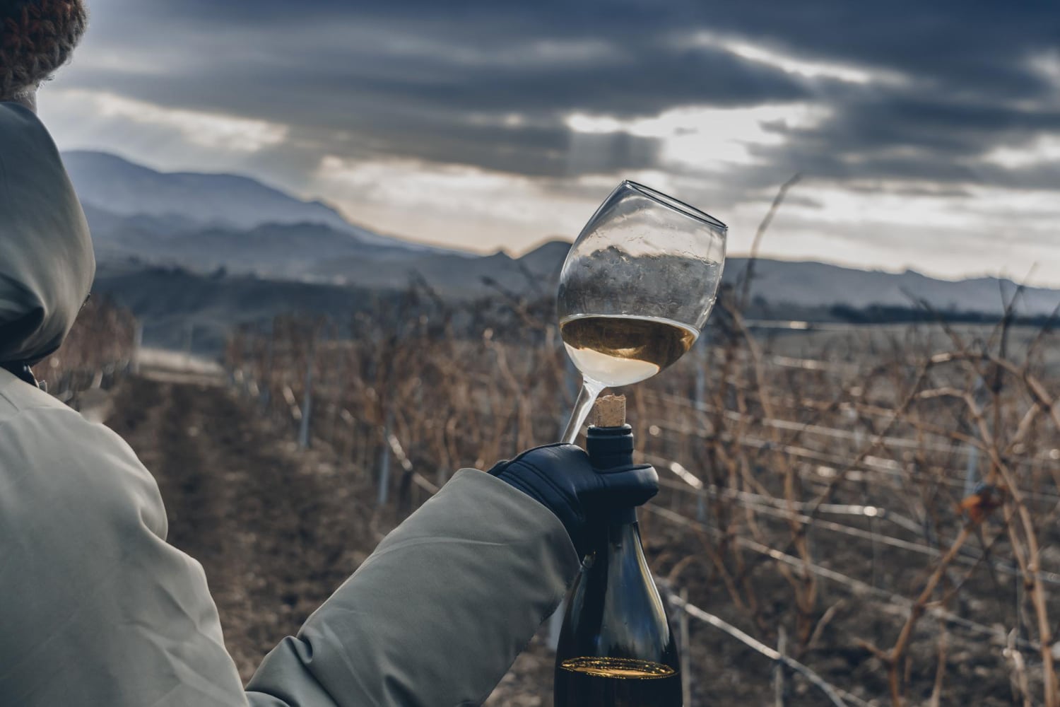 Aromi varietali del vino: conservazione e valorizzazione attraverso la tecnologia enologica