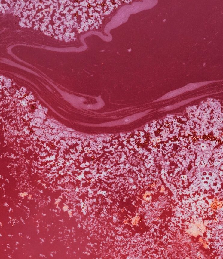Chiarificanti a base proteica: applicazioni enologiche