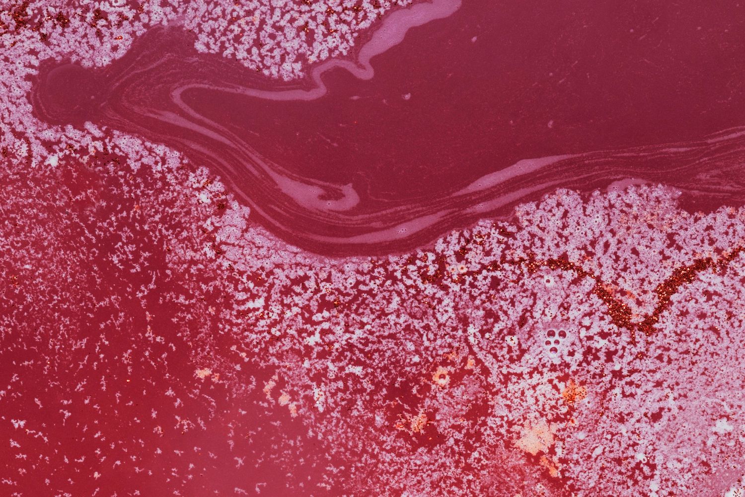 Chiarificanti a base proteica: applicazioni enologiche