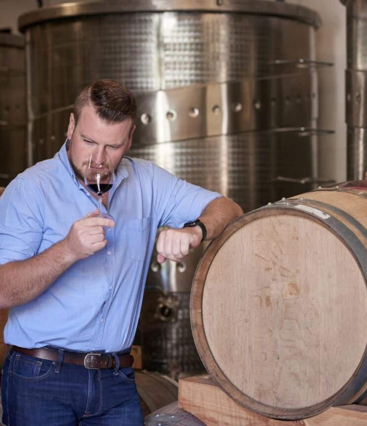 Effetto dei legni alternativi sul vino: confronto tra origine, tostatura e impatto organolettico