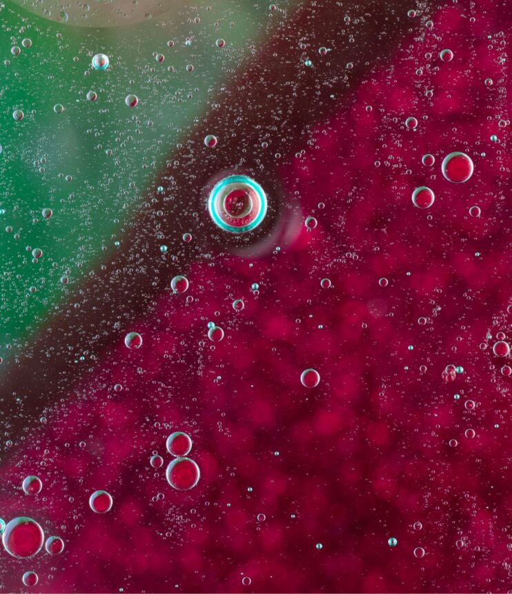 Fermentazione malolattica: gestione controllata con batteri selezionati