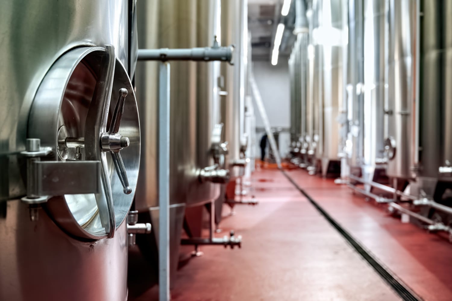 Filtrazione per gravità guida tecnica per un vino limpido, stabile e brillante
