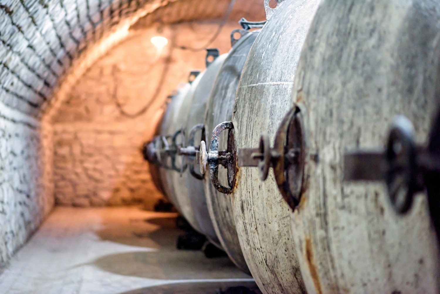 H₂S formation in fermentation: biochemical causes and prevention strategies