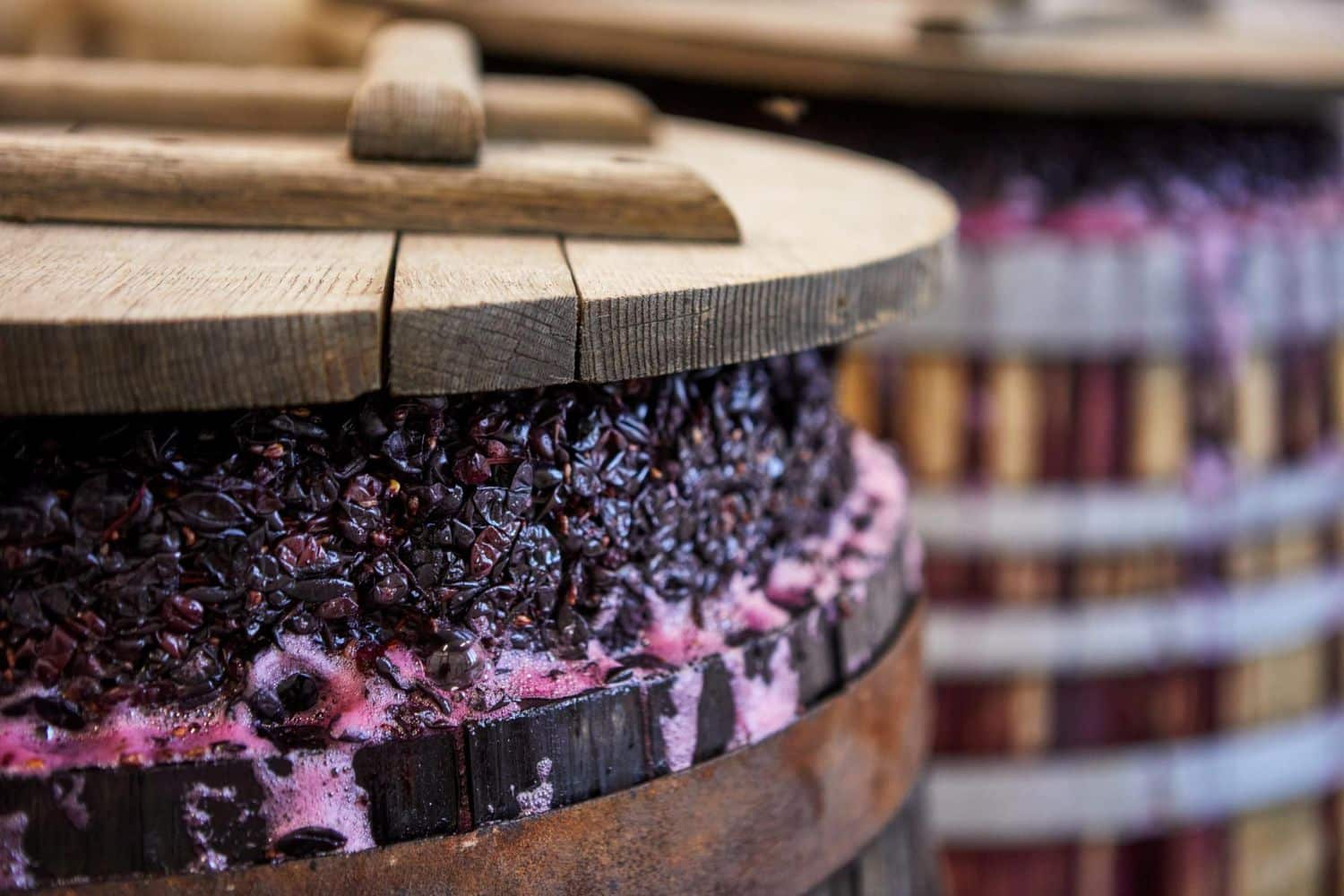 Gestione dell'azoto assimilabile: come ottimizzare la fermentazione del vino