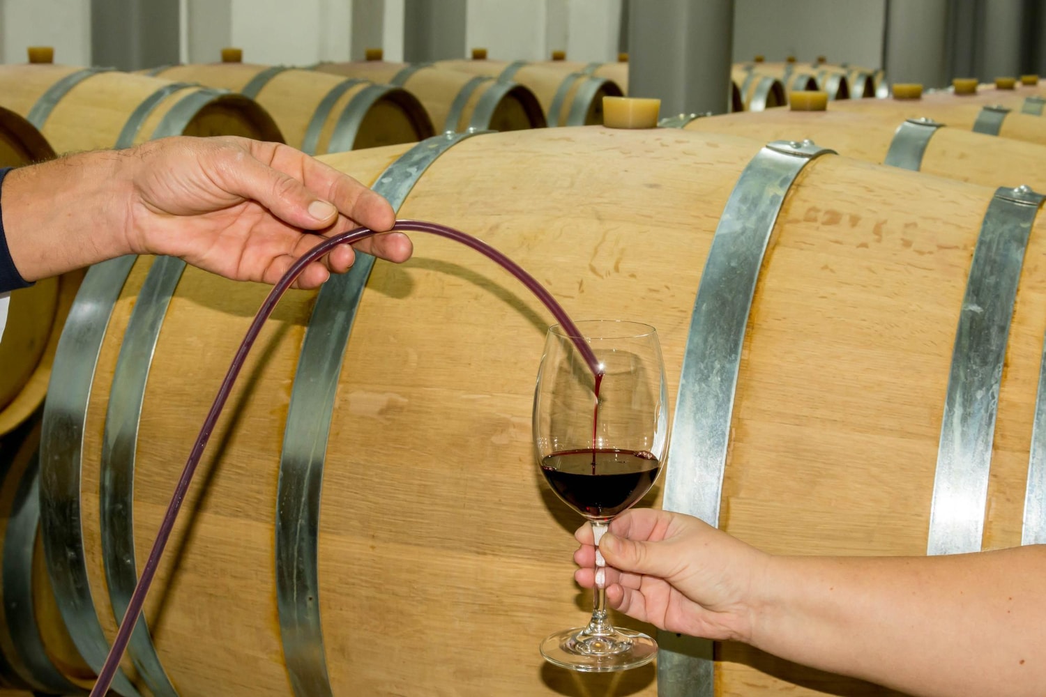 Inibizione batterica selettiva: tecnologie e composti per la gestione microbiologica mirata