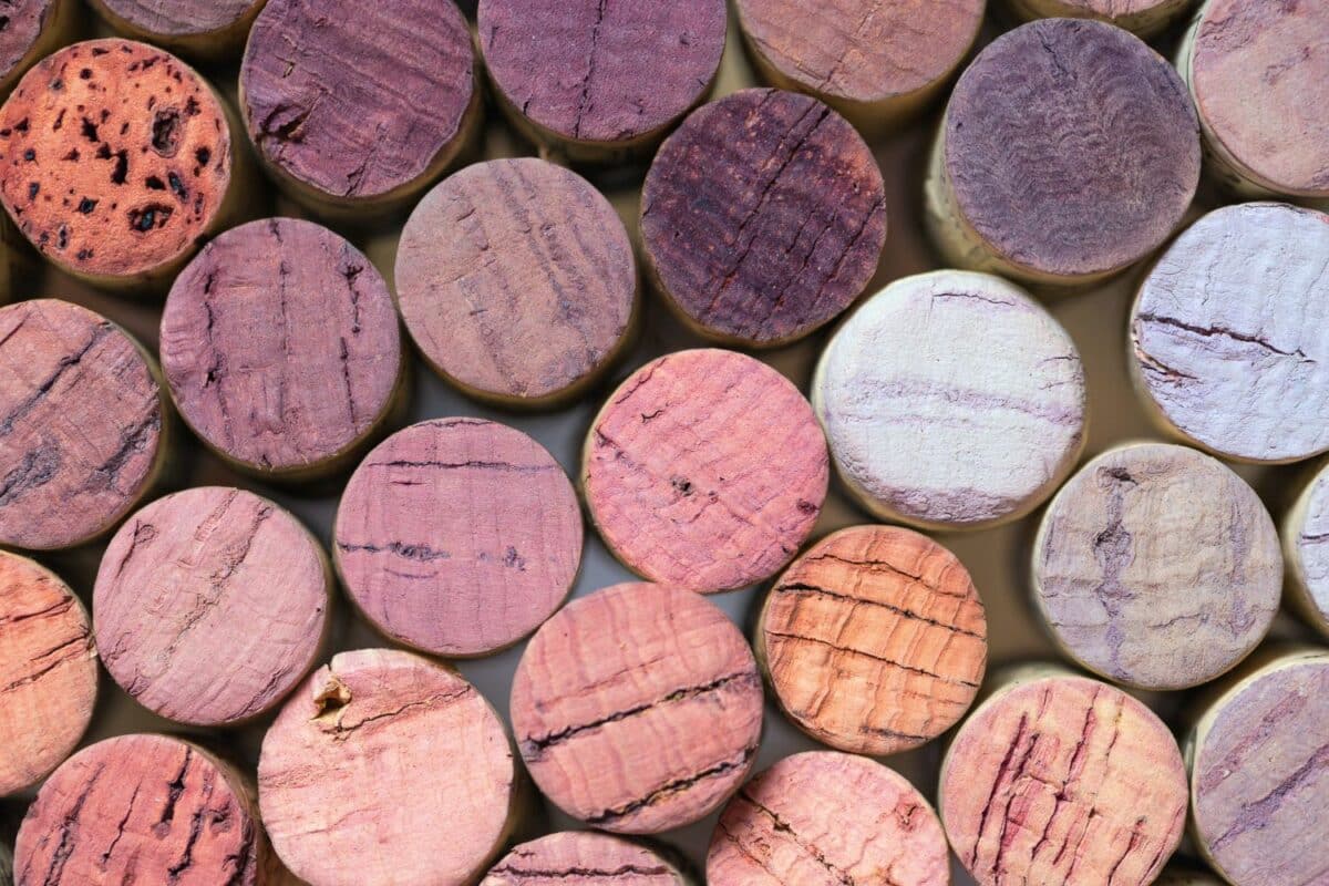 Legni tostati per vino: effetti sensoriali e parametri di utilizzo nell’affinamento