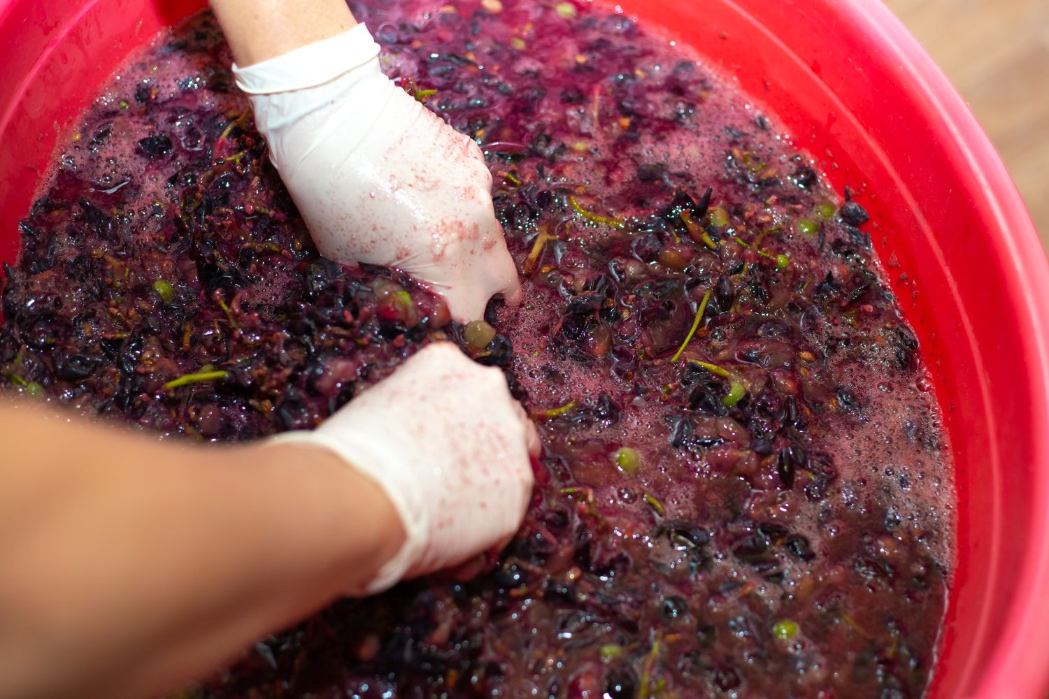 Lieviti non-Saccharomyces: applicazioni innovative nella modulazione aromatica del vino
