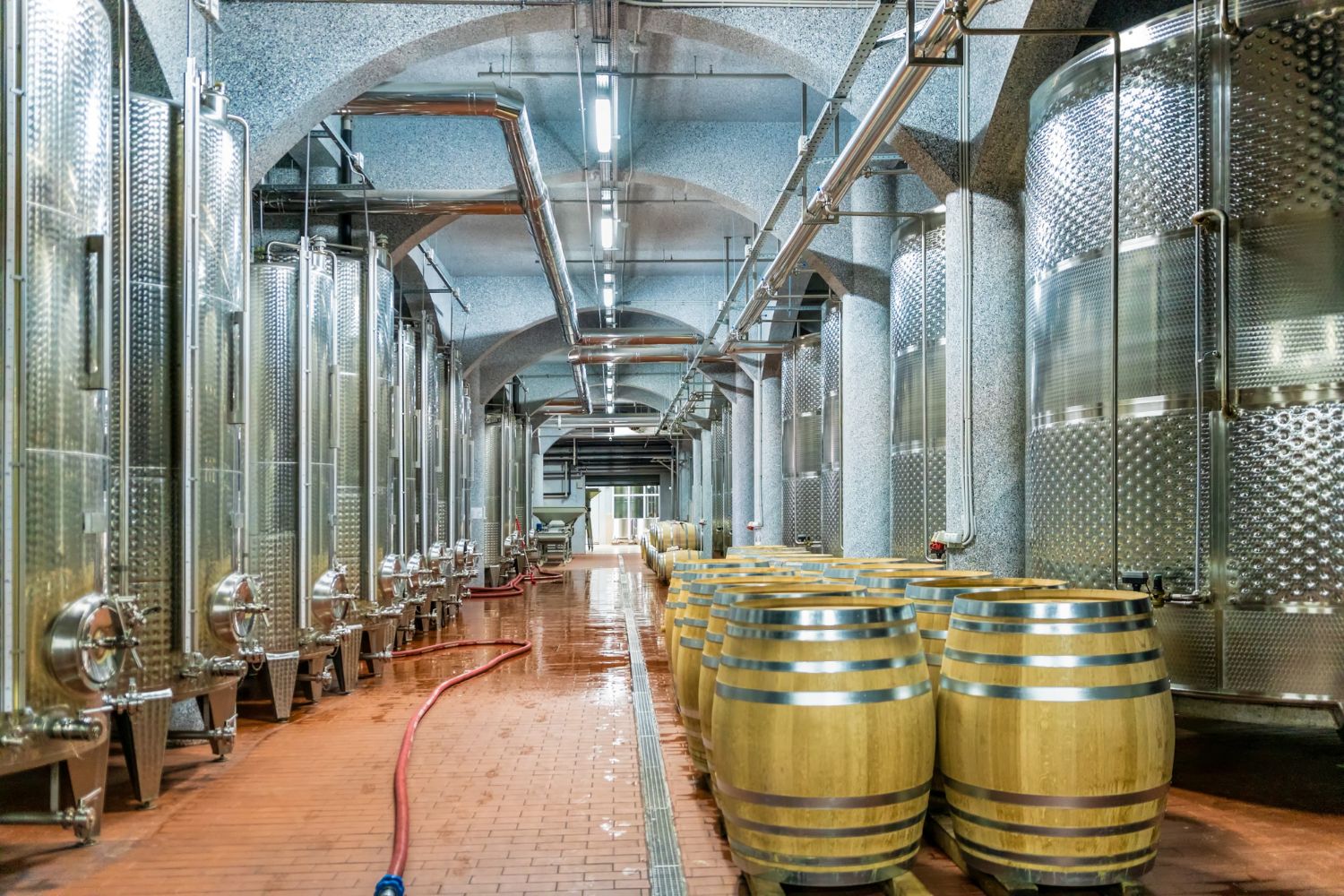 Micronutrienti fermentativi: supporto metabolico e performance dei lieviti