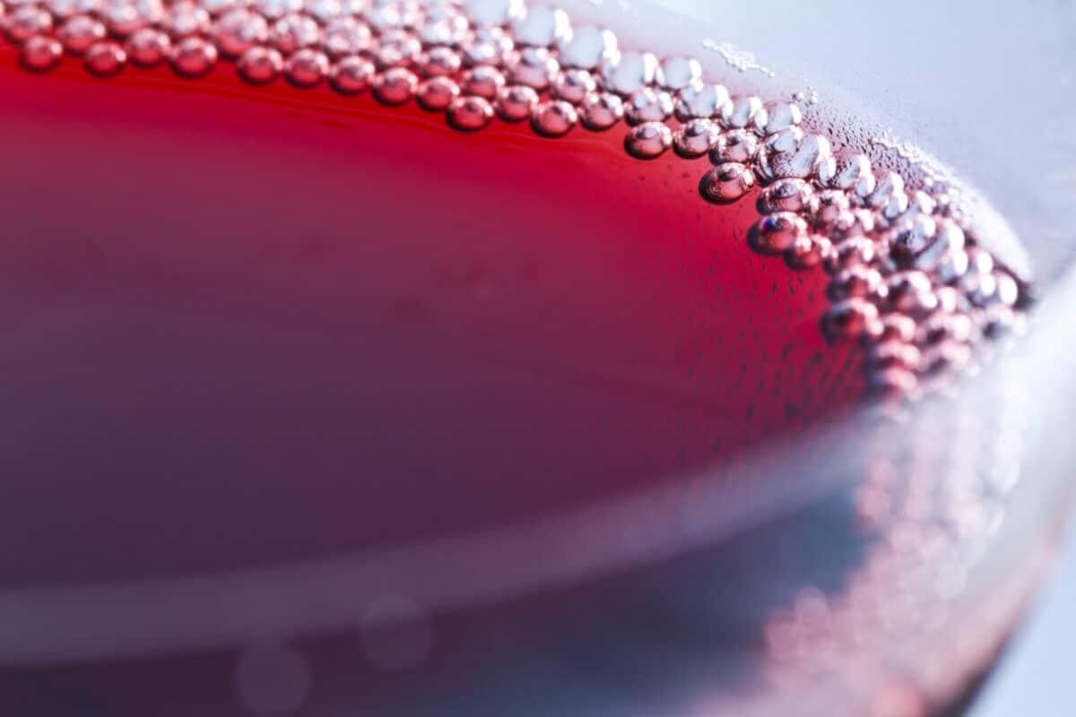 Ossidazione vino: come prevenirla e controllarla con antiossidanti enologici specifici