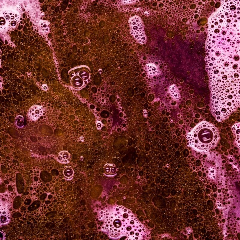 Precipitazione proteica: cause, diagnosi e trattamenti con chiarificanti specifici