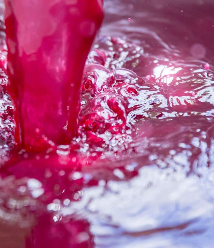 Produzione di polisaccaridi nel vino rotondità e stabilità colloidale