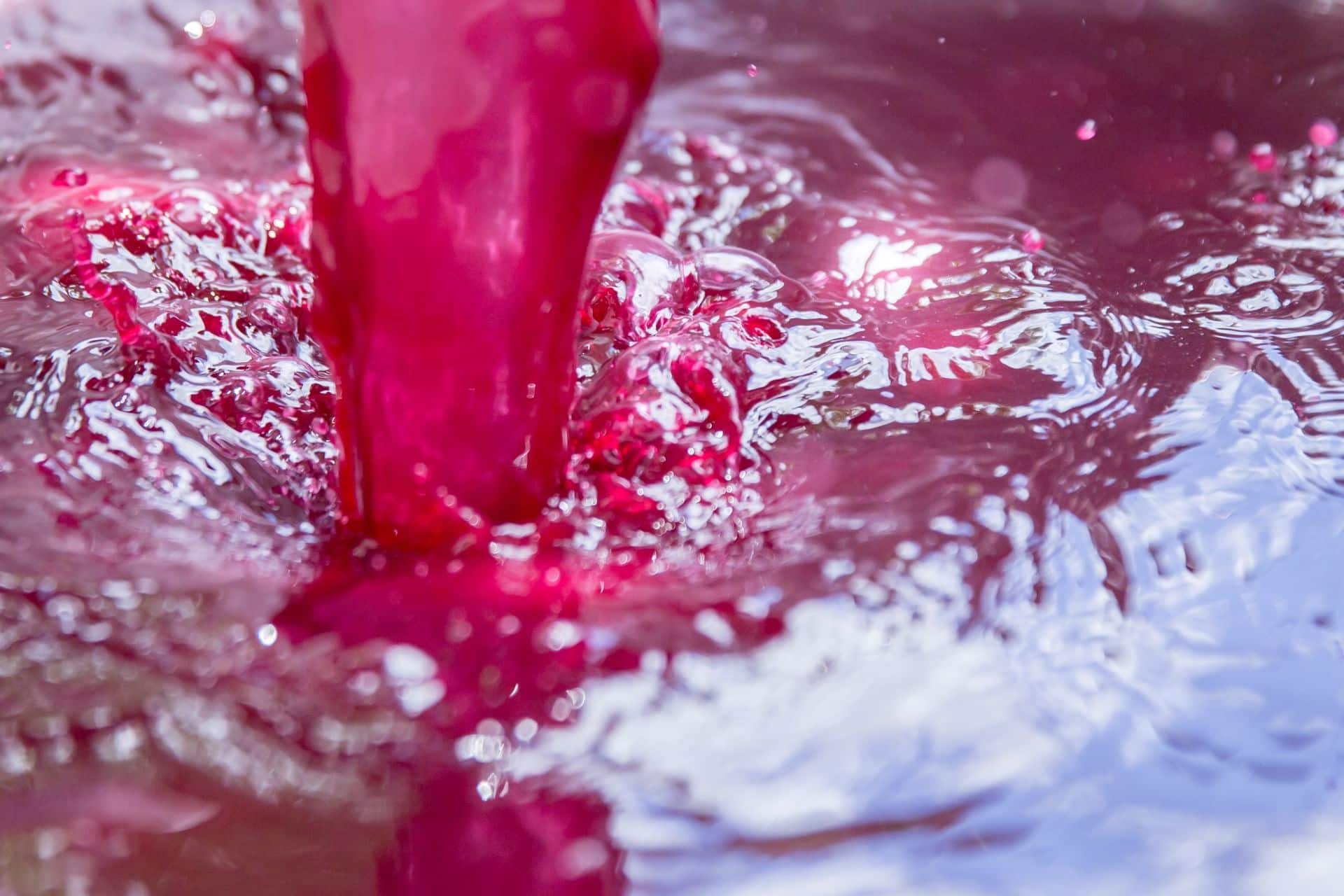 Produzione di polisaccaridi nel vino rotondità e stabilità colloidale