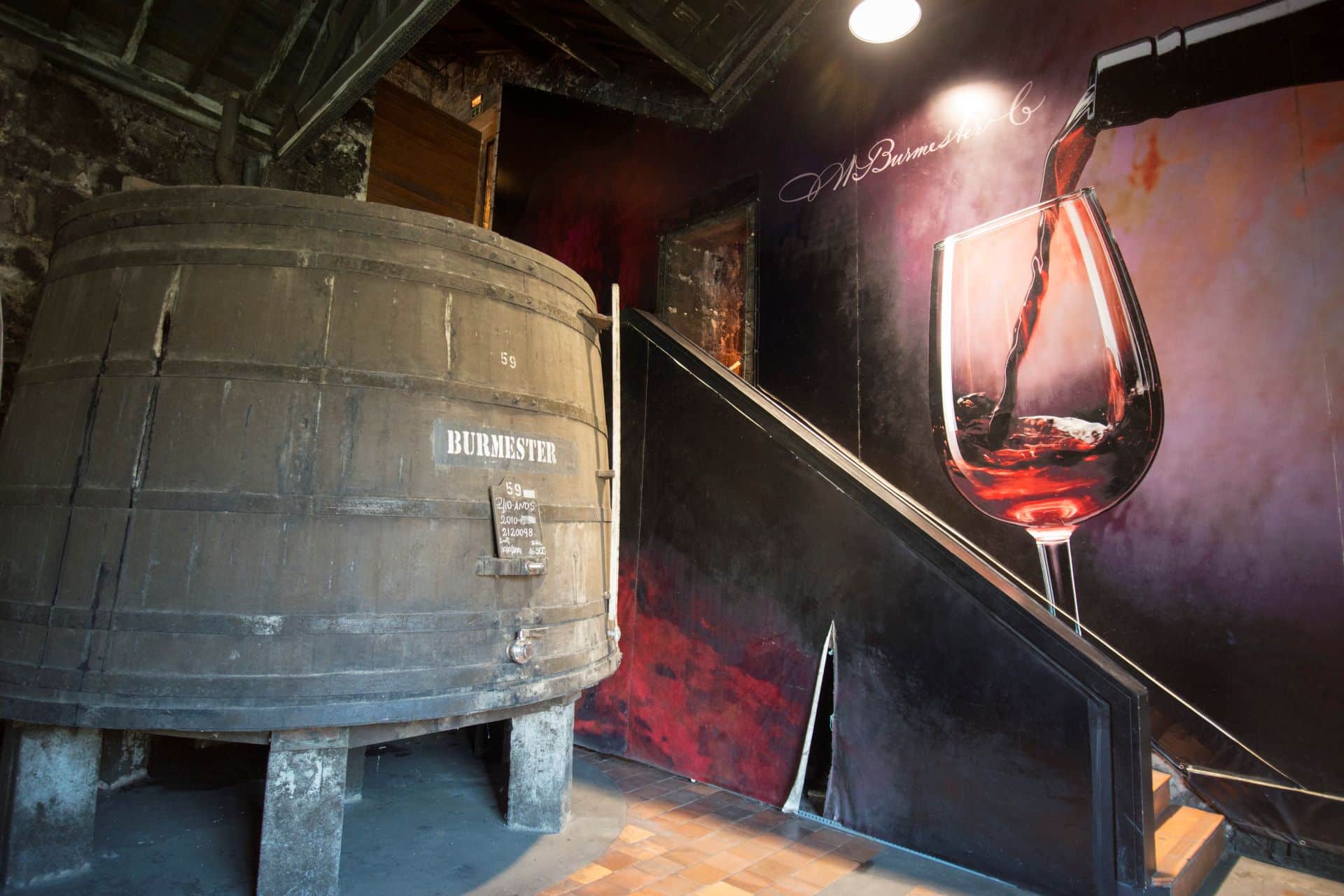 Resveratrolo e antiossidanti naturali: impiego per la protezione e il valore nutrizionale del vino