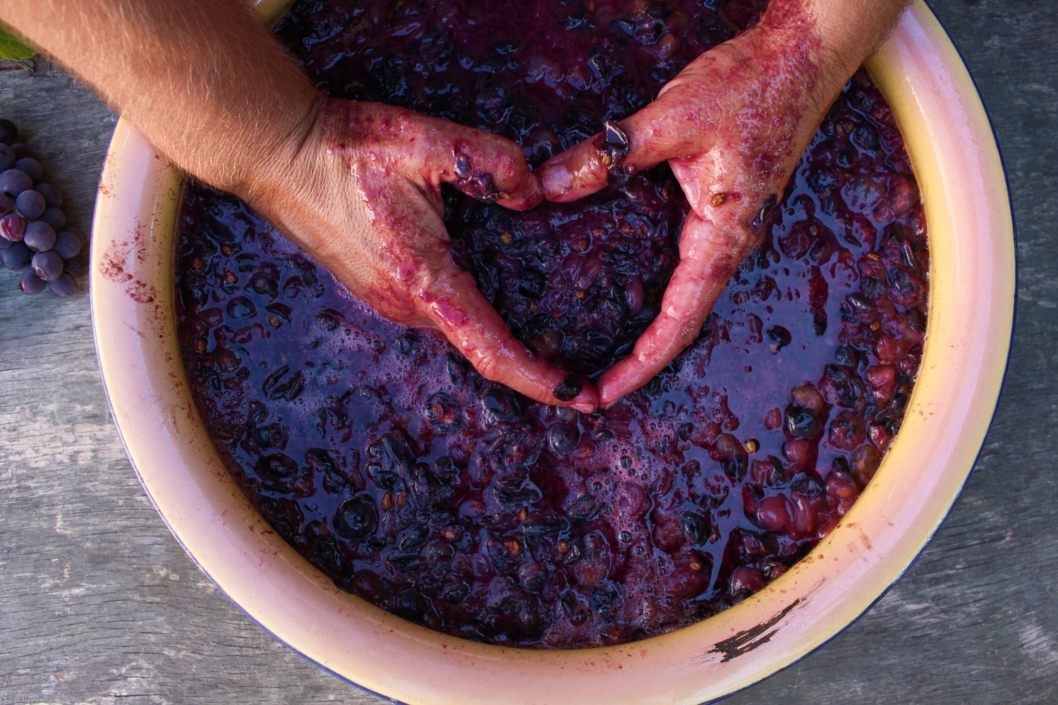 Trattamenti con bentonite: efficienza, selettività e dosaggi ottimali