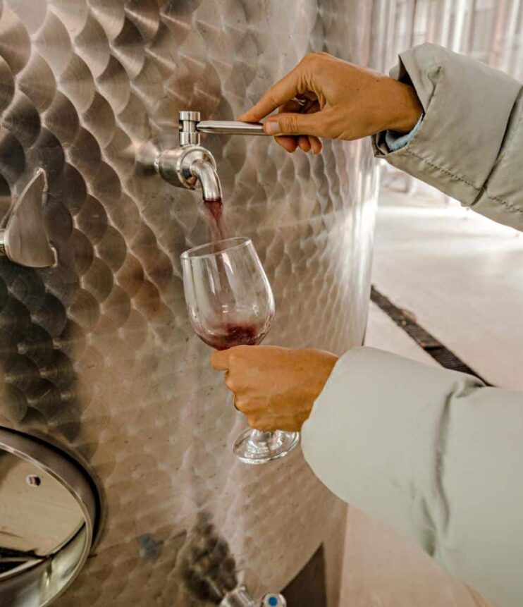 Utilizzo di enzimi per mosti difficili: approcci su misura per l’estrazione e la chiarifica